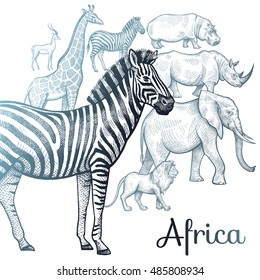 Poster African animals. Vector illustration for book covers, brochures, text, signage, visual aid for children. Drawing on white background. Elephant, lion, giraffe, rhino, hippo, zebra, antelope.