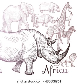 Poster African animals. Vector illustration for book covers, brochures, text, signage, visual aid for children. Drawing on white background. Elephant, lion, giraffe, rhino, hippo, zebra, antelope.