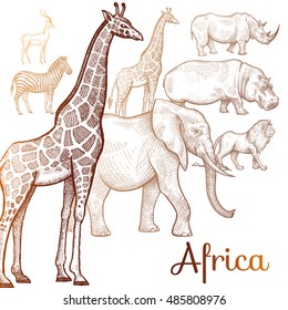 Poster African animals. Vector illustration for book covers, brochures, text, signage, visual aid for children. Drawing on white background. Elephant, lion, giraffe, rhino, hippo, zebra, antelope.