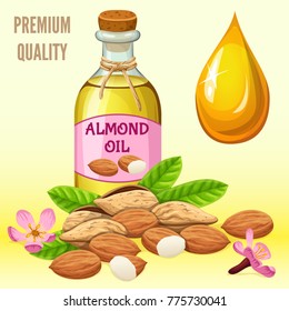 Poster almond oil, seed and leaf. Isolated vector illustration.