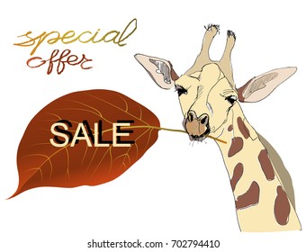 Poster in autumn or poster for autumn purchases. Giraffe keeps autumn leaves with text. Discounts for autumn orange design for promo poster. Vector illustration