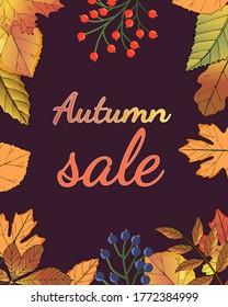 Poster Autumn sale.On a dark background with leaves Golden purple yellow and red.Sale ads.vector illustration.