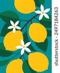 Poster background with lemons. Blooming yellow lemons on branch. Yellow citruses, leaves and white flowers. A botanical composition for greeting card, poster, design. Flat vector bright illustration
