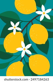 Fondo de cartel con limones. Limones amarillos florecientes en la rama. Cítricos amarillos, hojas y flores blancas. Una composición botánica para tarjeta de felicitación, póster, diseño. Ilustración brillante de Vector plano