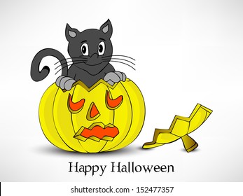 Poster, banner or flyer for Halloween party night with scary pumpkins and domestic cat on abstract grey background. 