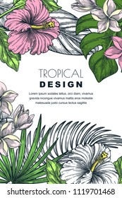 Poster, banner or greeting card frame with tropical palm leaves, hibiscus and plumeria flowers. Vector hand drawn sketch illustration of jungle exotic plants.
