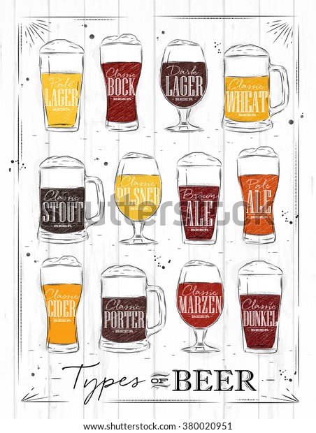 Poster Beer Main Types Lager Bock Stock Vector (royalty Free) 380020951 