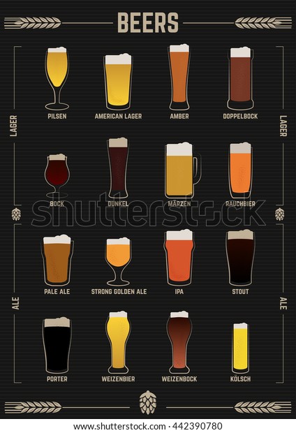 Poster Beer Types Beers Guide Illustration Stock Vector (Royalty Free ...