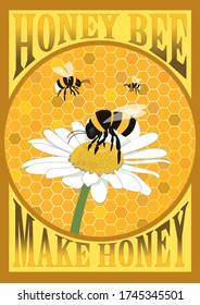 Poster with bees combs and white color daisy flower, isolated on bees honeycombs background vector illustration