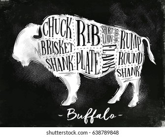 Poster buffalo cutting scheme lettering chuck, brisket, shank, rib, plate, flank, sirloin, shortloin, rump, round, shank in vintage style drawing with chalk on chalkboard background