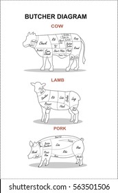 Poster Butcher diagram.  Fresh meat beef, pork, lamb. Butchery.