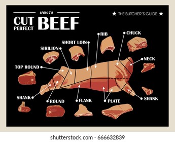 Poster Butcher diagram and scheme - Cow. Cut of meat set. Vector illustration