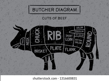 Poster Butcher diagram and scheme of meat steaks: brisket, shank, rib, plate, flank, sirloin, shortloin, rump, round, shank in vintage style drawing. Cut of beef. Vector illustration - Vector.