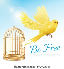 Poster with canary flying from open golden cage and getting freedom on blue white background vector illustration 