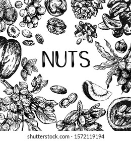 Poster card composition of hand drawn sketch style different kinds of nuts isolated on white background. Vector illustration.