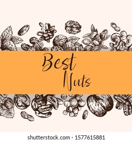 Poster card composition of hand drawn sketch style different kinds of nuts. Isolated vector illustration.