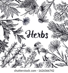 Poster card composition of hand drawn sketch style different kinds of plants isolated on white background. Vector illustration.