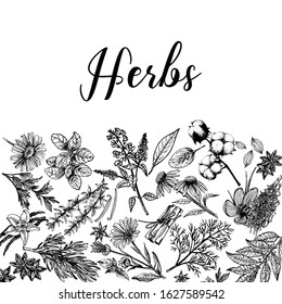 Poster card composition of hand drawn sketch style different kinds of plants isolated on white background. Vector illustration.