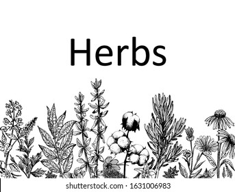 Poster card composition of hand drawn sketch style different kinds of plants isolated on white background. Vector illustration.