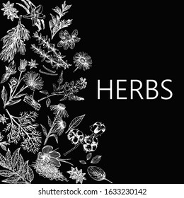 Poster card composition of hand drawn sketch style different kinds of plants isolated on black background. Vector illustration.