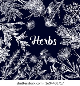 Poster card composition of hand drawn sketch style different kinds of plants isolated on dark background. Vector illustration.
