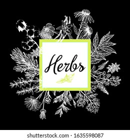 Poster card composition of hand drawn sketch style different kinds of plants isolated on black background. Vector illustration.
