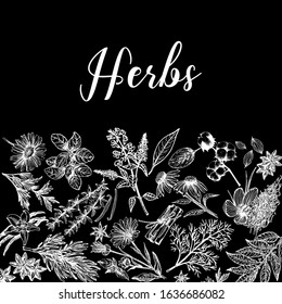 Poster card composition of hand drawn sketch style different kinds of plants isolated on black background. Vector illustration.