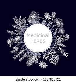 Poster card composition of hand drawn sketch style different kinds of medicinal plants isolated on dark background. Vector illustration.