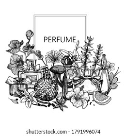 Poster / card / composition of hand drawn sketch style bottles of perfume and plants isolated on white background. Vector illustration.