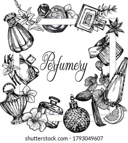 Poster / card / composition of hand drawn sketch style bottles of perfume and plants isolated on white background. Vector illustration.