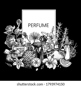 Poster / card / composition of hand drawn sketch style bottles of perfume and plants isolated on black background. Vector illustration.