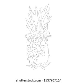 Poster card with pineapple. Vector isolated illustration on white background