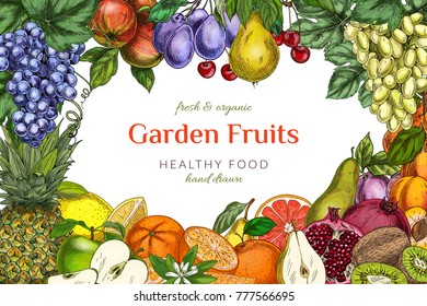 Poster/ card template. Garden fruits, colored hand drawn vector illustrations.