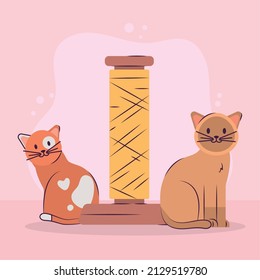 afiche de catd y acratches post
