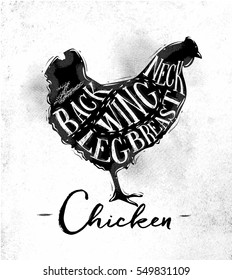 Poster chicken cutting scheme lettering neck, back, wing, breast, leg in vintage style drawing on dirty paper background