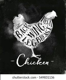 Poster chicken cutting scheme lettering neck, back, wing, breast, leg in vintage style drawing with chalk on chalkboard background
