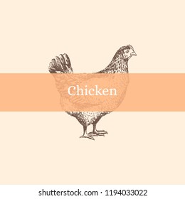 Poster with chicken silhouette and phrase:"chicken". Vector.