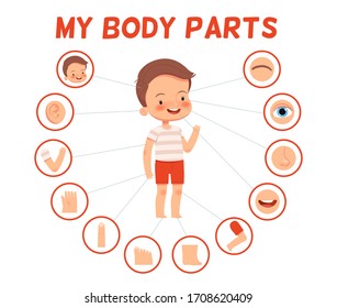 Poster for children learning. Cheerful boy and his body parts in separate pictures