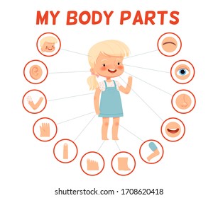 Poster for children learning. Cheerful girl and her body parts in separate pictures