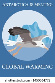 poster climate protection albatross in flight antarctica in danger