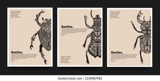 Poster-Sammlung. Vektor detaillierte Skizzen von Insekten mit Mustern. Handgezeichnete Käfer. Satz entomologischer Zeichnungen. Käfer-Umrisse für Druck, Banner, Poster, Tattoo, Kartendesign.