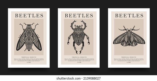 Poster-Sammlung. Vektor detaillierte Skizzen von Insekten mit Mustern. Handgezeichnete Käfer. Satz entomologischer Zeichnungen. Käfer-Umrisse für Druck, Banner, Poster, Tattoo, Kartendesign.