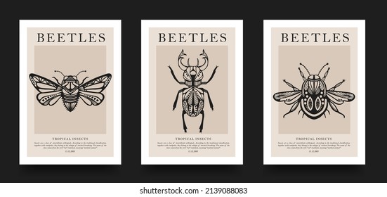 Poster collection  Vector detailed sketches insects and patterns  Hand drawing beetles  Set entomological drawings  Beetle outlines for print  banner  poster  tattoo  card design 