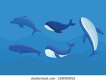 poster of colored whales bundle