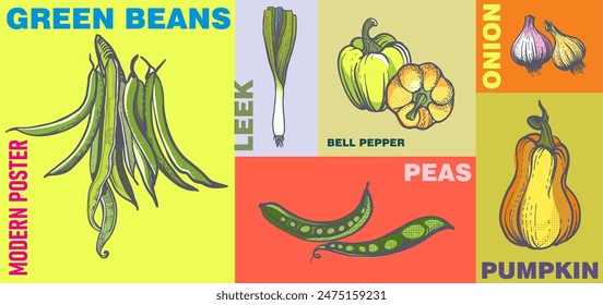 Poster (cover, card) made of hand-drawn  vegetables in pop art style. Linear line drawing with colored fill is a modern type of printing art.