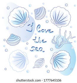 poster with cute seashells and hand lettering - vector illustration, eps