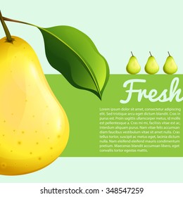 Poster design with fresh pear illustration