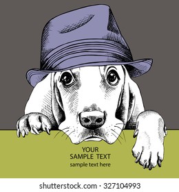 The poster dog Basset Hound portrait in the Elegant man's hat. Vector illustration.