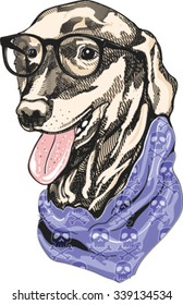 Poster dog Basset Hound portrait in the neckerchief and glasses. Vector illustration.