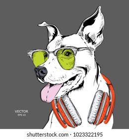 The poster of the dog portrait in hip-hop hat and with headphones. Vector illustration.